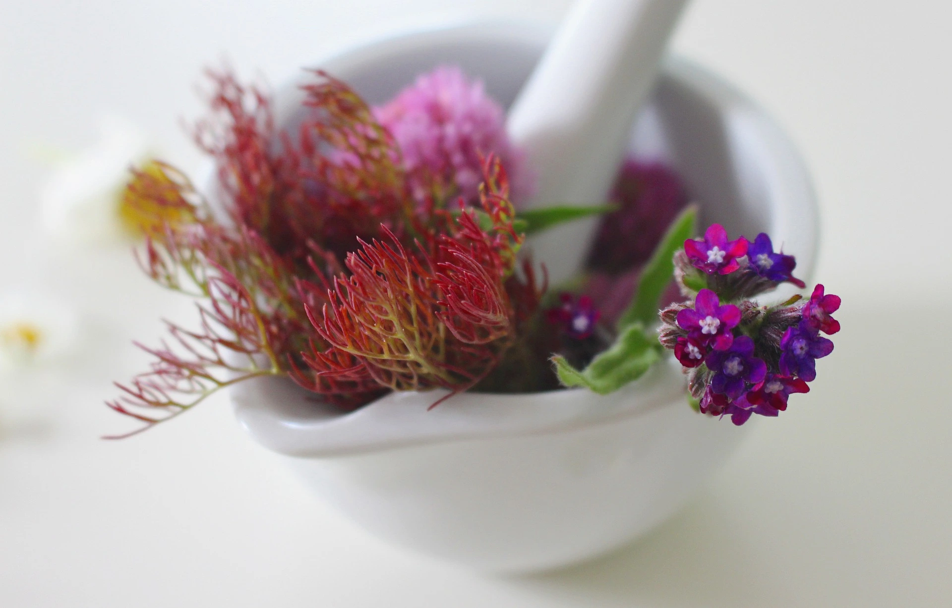 medicinal-flower